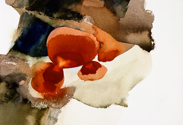 archive_geologic_forms2